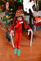 Elf on the Shelf 2013